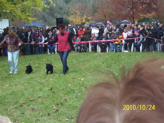 Felhaszn&aacute;l&oacute;i k&eacute;pek / 2010.10.24.Dunaujvaros_019.jpg