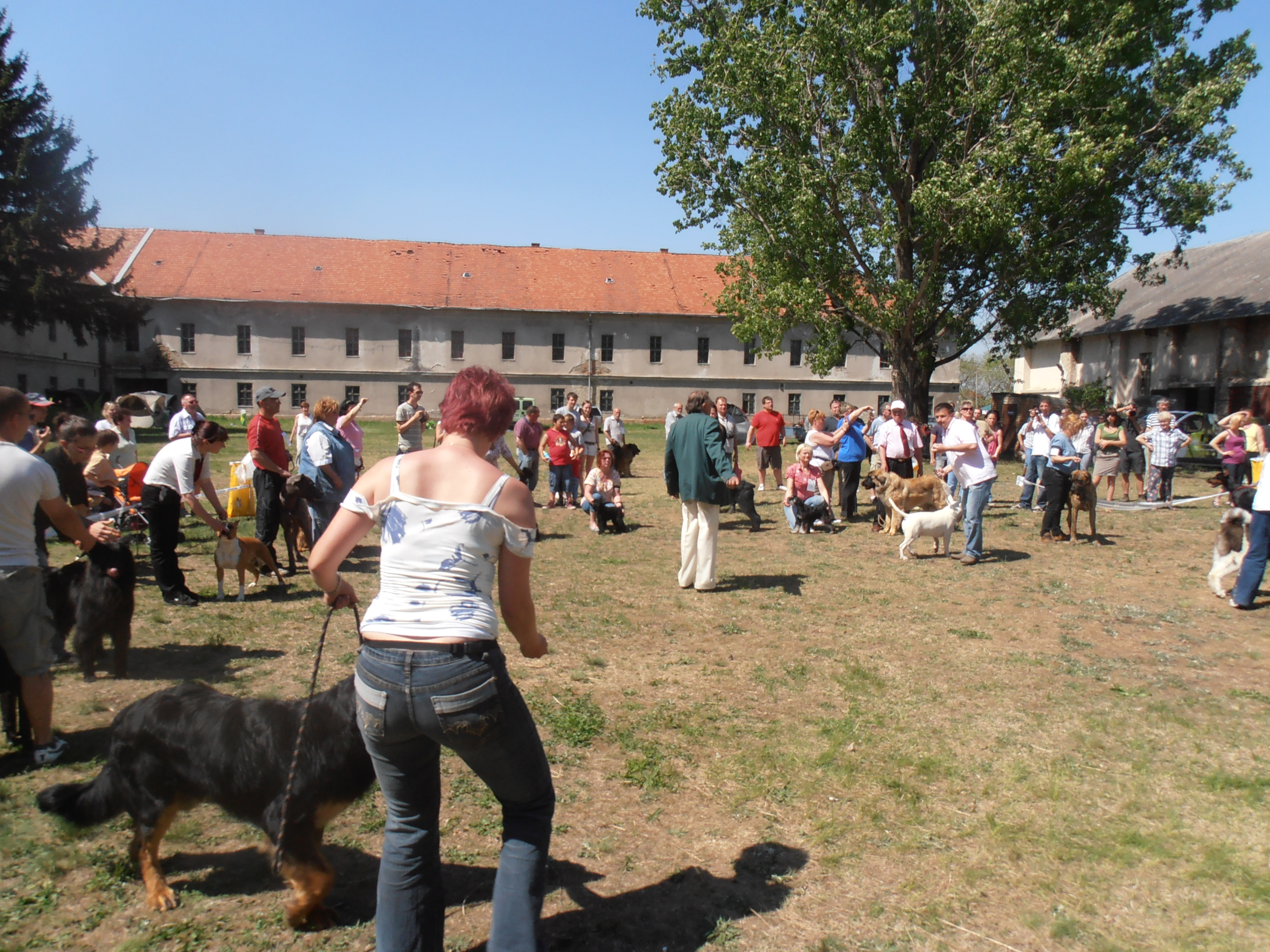 Felhasználói képek / 2012.04.29._049.jpg Felhasználói képek / 2012.04.29._049.jpg