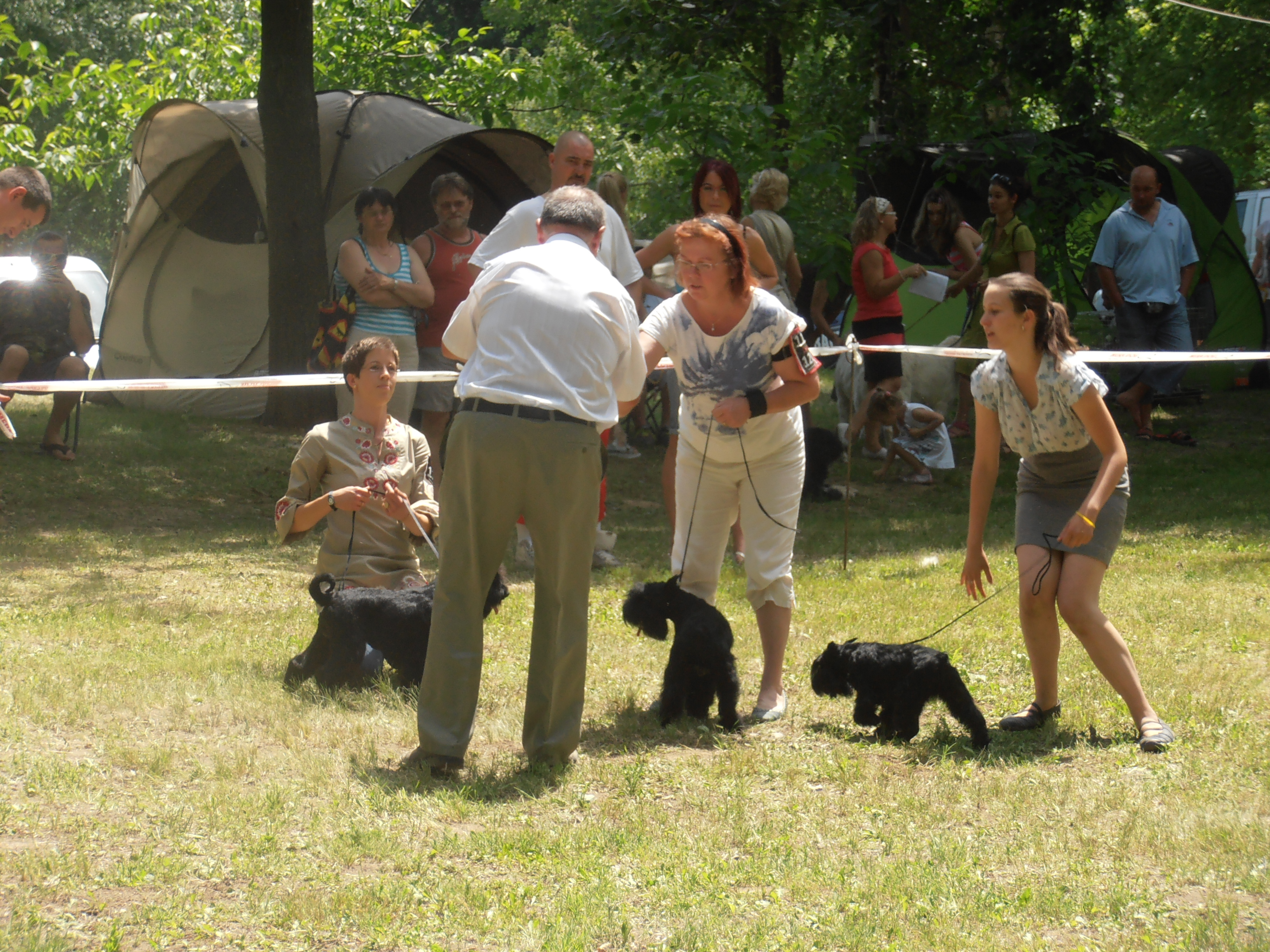 Felhaszn&aacute;l&oacute;i k&eacute;pek / 2012.06.08._077.jpg