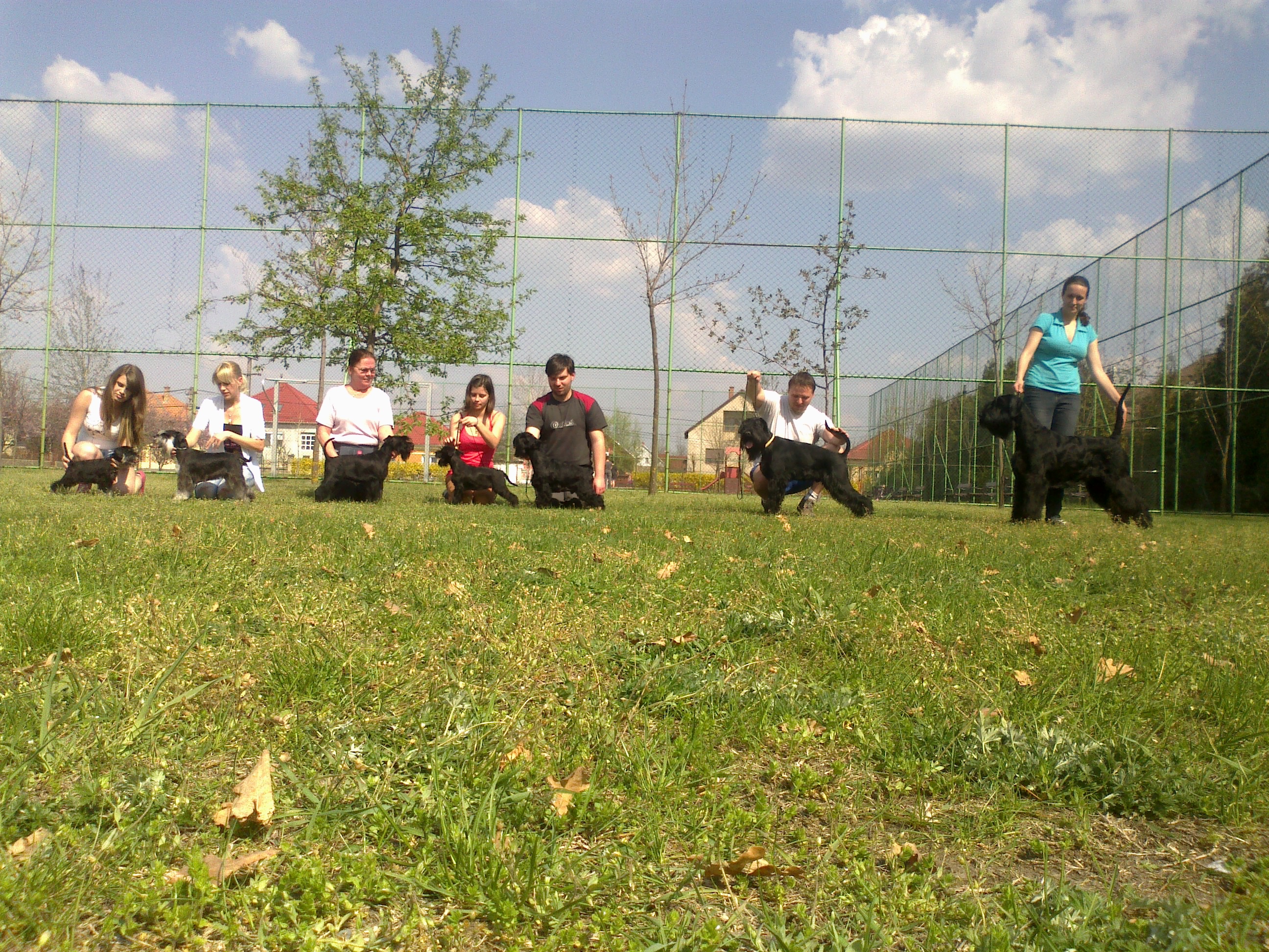 Felhaszn&aacute;l&oacute;i k&eacute;pek / 20130420247.jpg