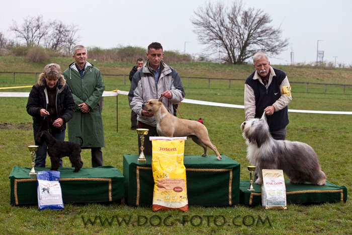 Felhaszn&aacute;l&oacute;i k&eacute;pek / 582316_393491330684172_217847811581859_1264531_1462611315_n.jpg