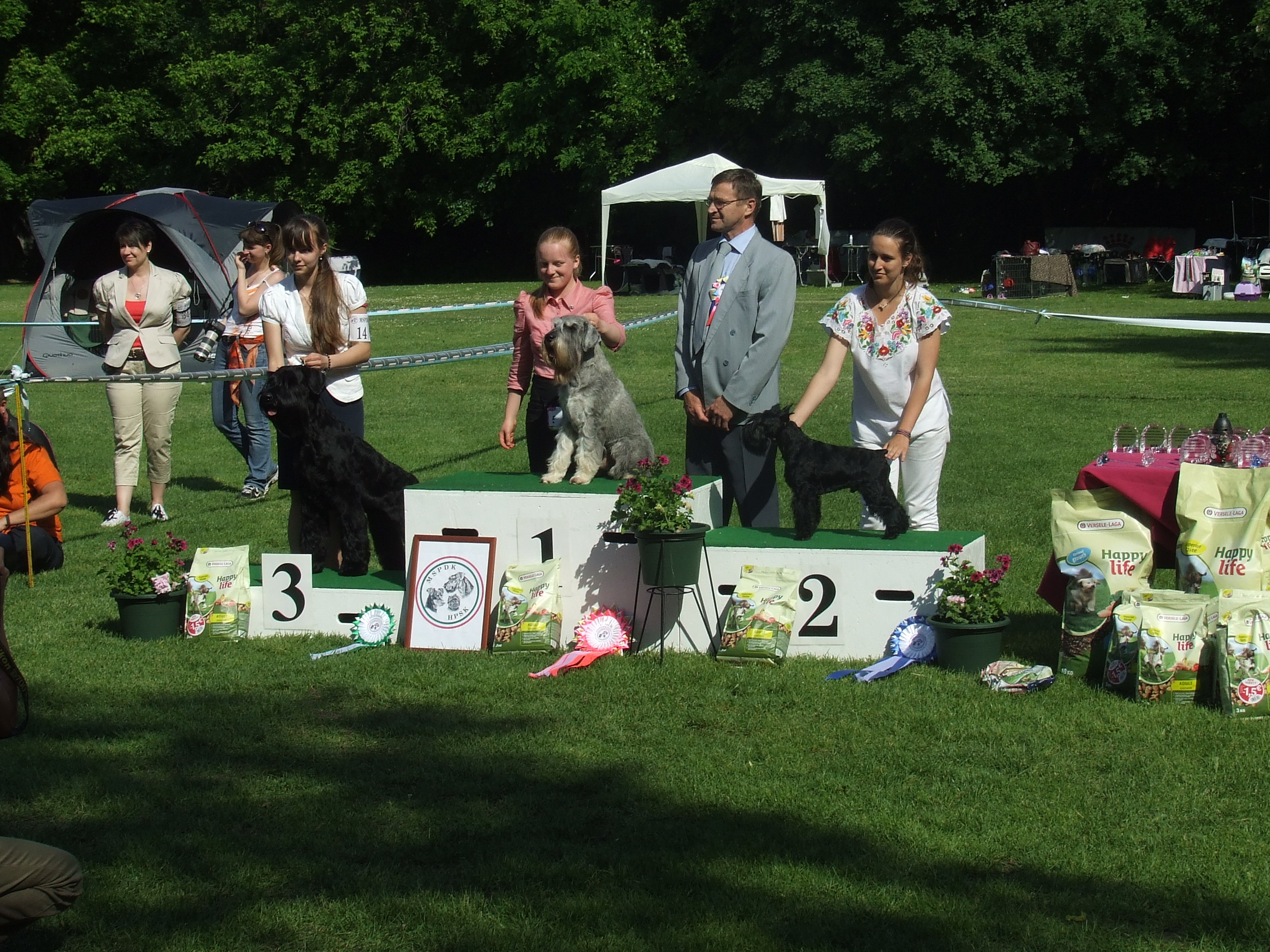 Felhaszn&aacute;l&oacute;i k&eacute;pek / DSCF4905.JPG