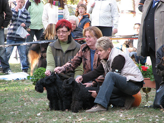 Felhaszn&aacute;l&oacute;i k&eacute;pek / IMG_0293.JPG
