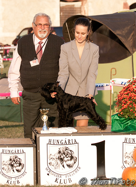 Felhaszn&aacute;l&oacute;i k&eacute;pek / IMG_2376_k.jpg