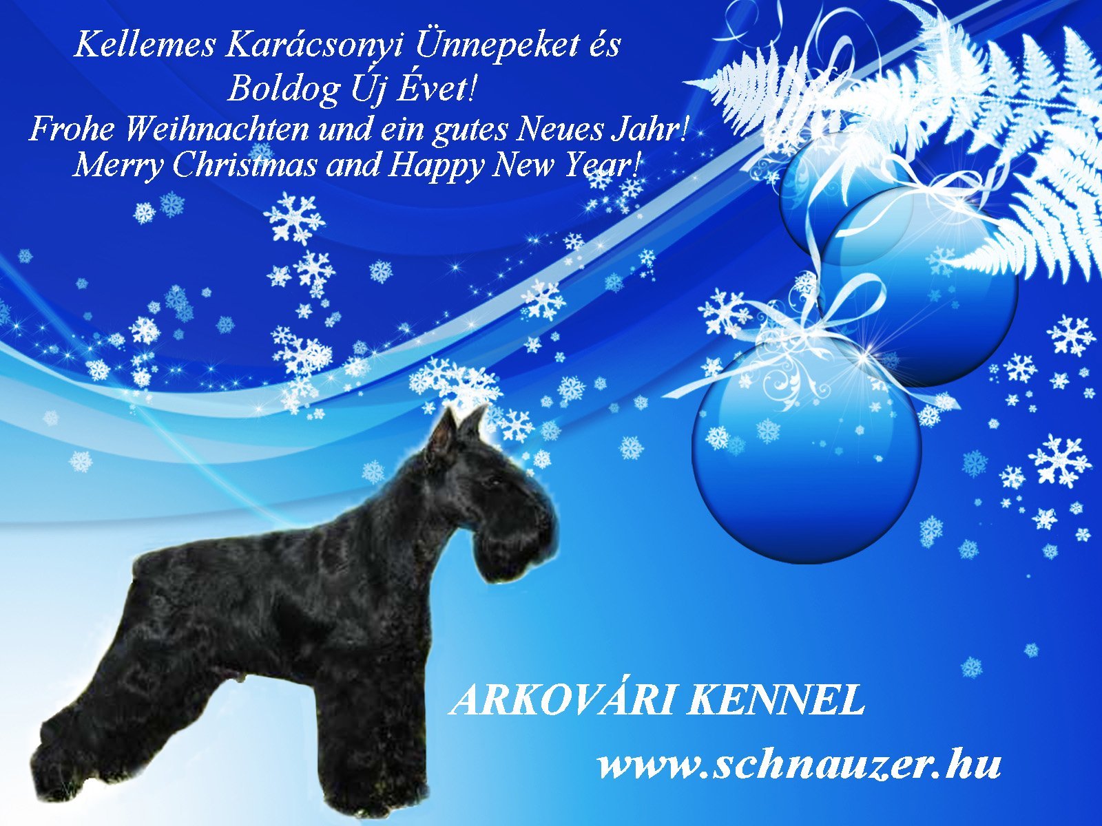 Felhaszn&aacute;l&oacute;i k&eacute;pek / KKU-2011-1.jpg