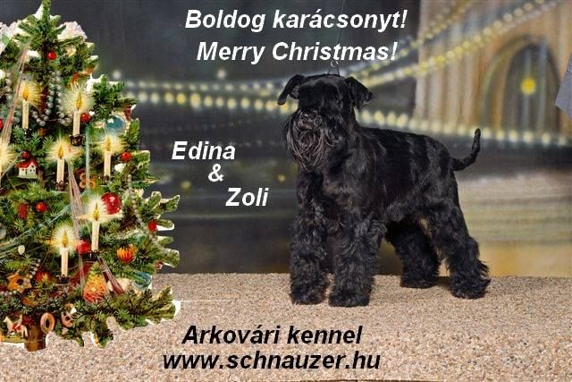 Felhaszn&aacute;l&oacute;i k&eacute;pek / Karacsony.jpg