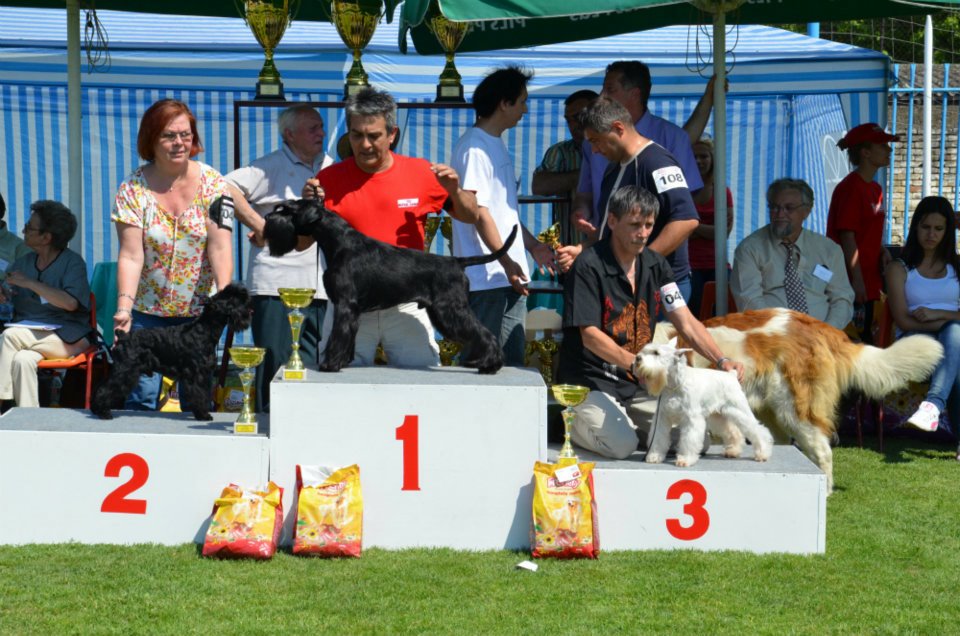 Felhaszn&aacute;l&oacute;i k&eacute;pek / Sivac_BOG.jpg