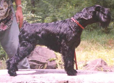 Felhaszn&aacute;l&oacute;i k&eacute;pek / _sen_lindy.jpg