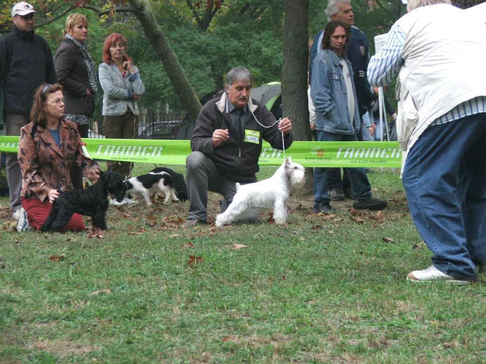 Felhaszn&aacute;l&oacute;i k&eacute;pek / dunaujvaros2012..jpg