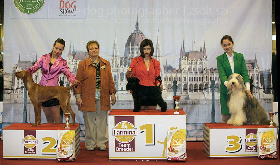 Felhaszn&aacute;l&oacute;i k&eacute;pek / fehova2.jpg